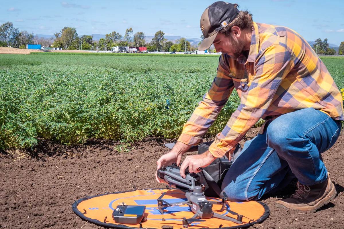 man working on drone in chickpea field